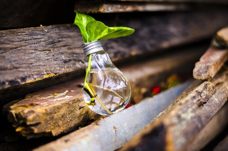 Upcycled products